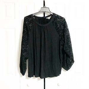 PRETTY Zac & Rachel woman black floral burnt out lace sleeve blouse size 2X
